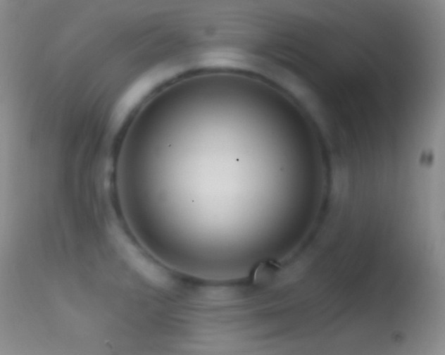 X0000114631376200910201410