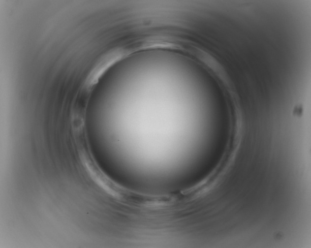 X0000114631377200910201410