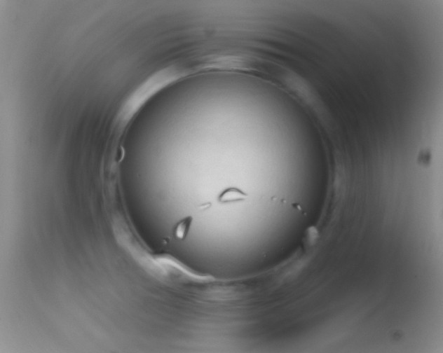 X0000114631378200910201410