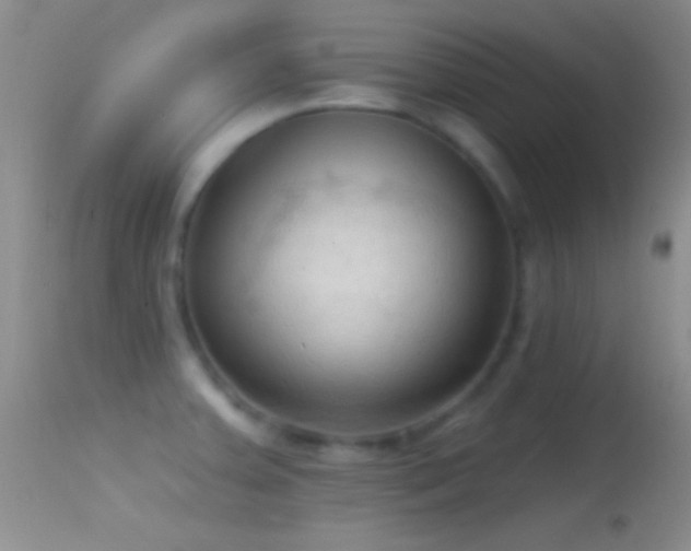 X0000114631379200910201410