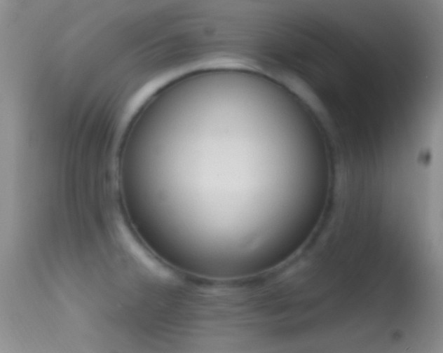 X0000114631380200910201410