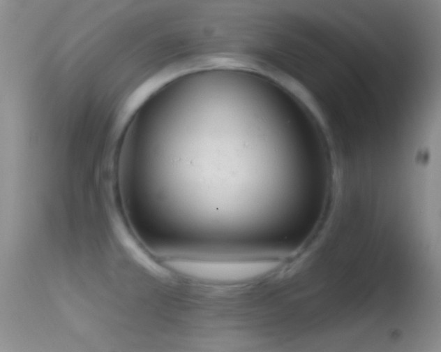 X0000114631381200910201410