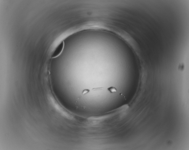 X0000114631382200910201410