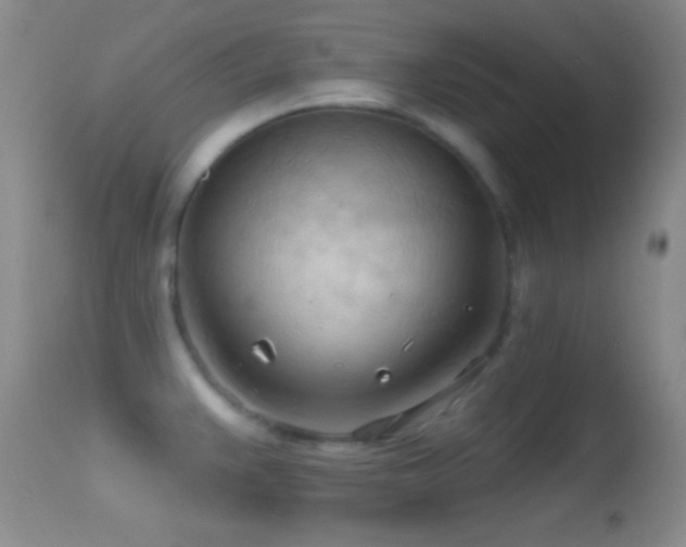 X0000114631383200910201410