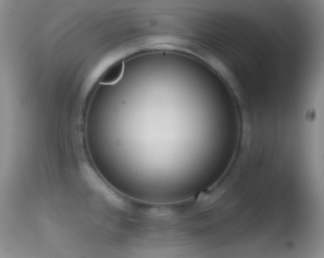 X0000114631384200910201410