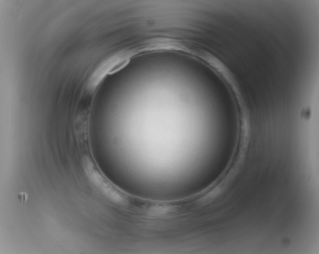 X0000114631385200910201410