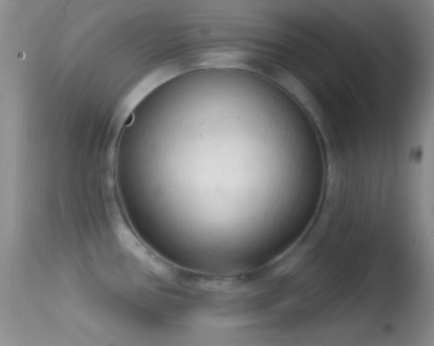 X0000114631386200910201410