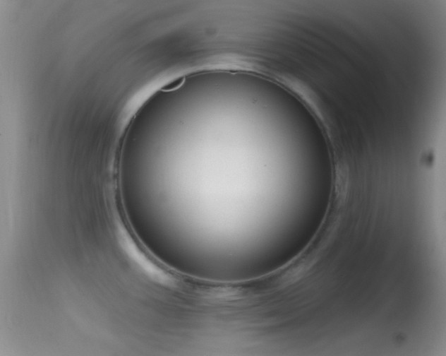 X0000114631387200910201410