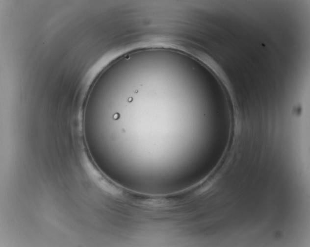 X0000114631388200910201410