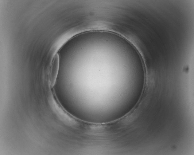 X0000114631389200910201410