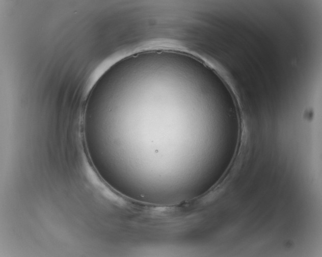 X0000114631390200910201410