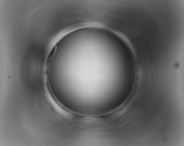 X0000114631391200910201410