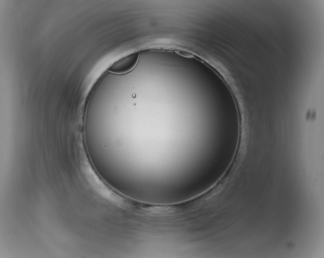 X0000114631392200910201410