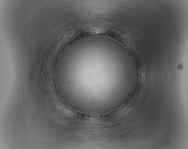 X0000114631393200910201409