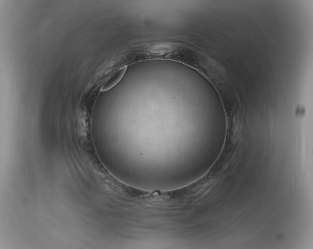 X0000114631394200910201409