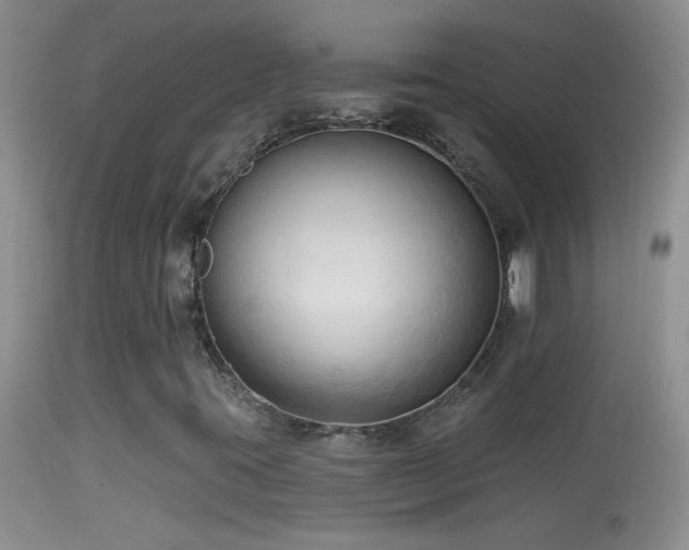 X0000114631395200910201409