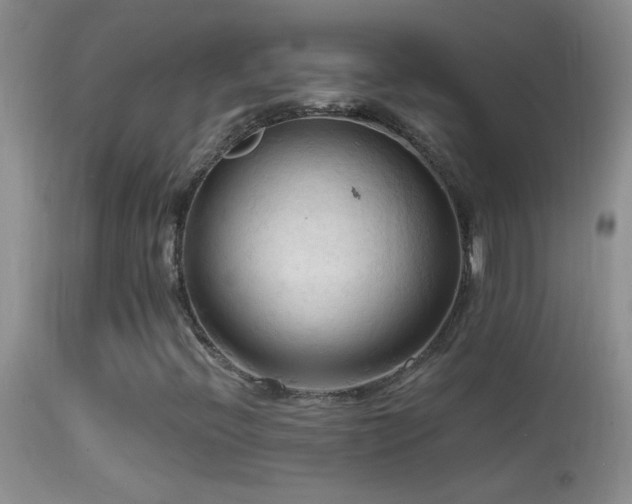 X0000114631396200910201409