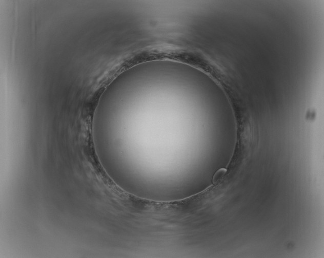 X0000114631397200910201409