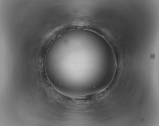 X0000114631398200910201409