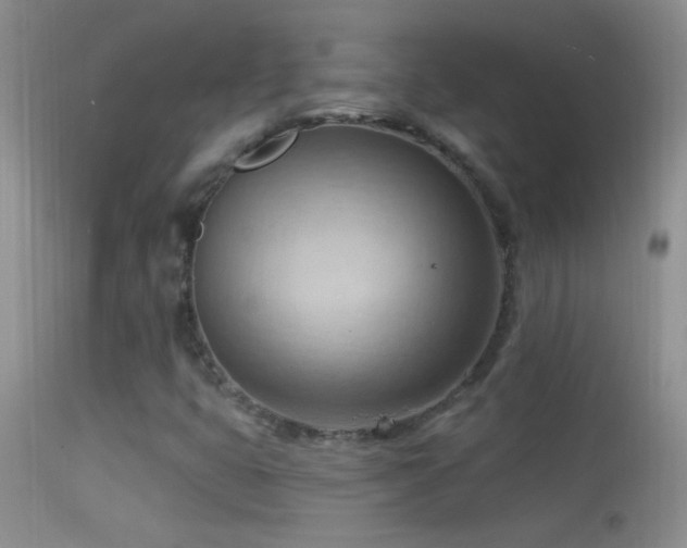 X0000114631399200910201409