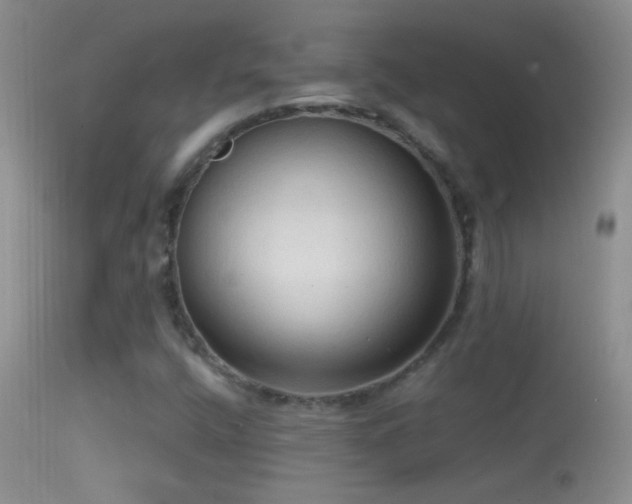 X0000114631400200910201409