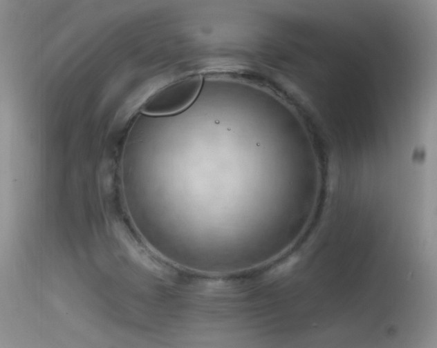 X0000114631401200910201409