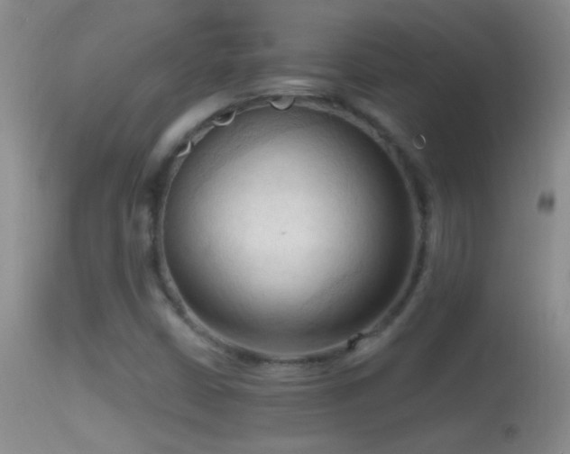 X0000114631402200910201409