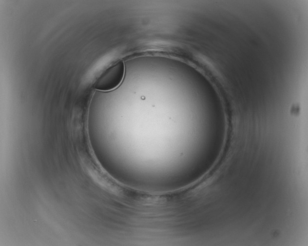 X0000114631403200910201409