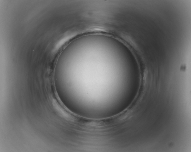 X0000114631404200910201410