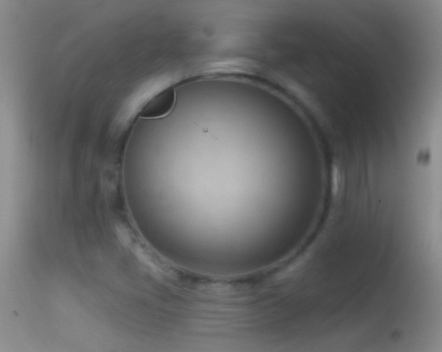 X0000114631405200910201410