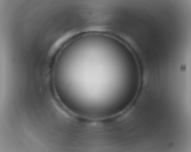 X0000114631406200910201410