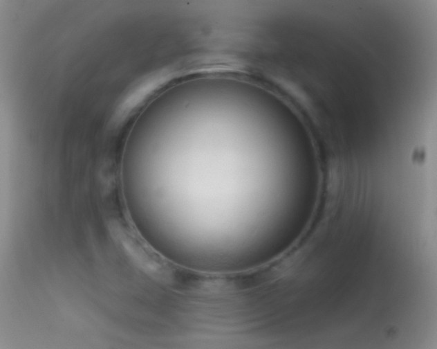 X0000114631407200910201410