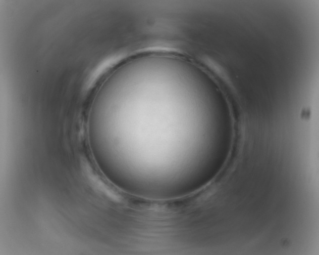 X0000114631408200910201410