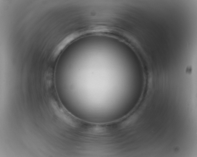 X0000114631409200910201410