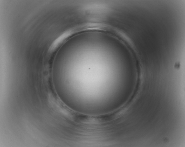 X0000114631411200910201410