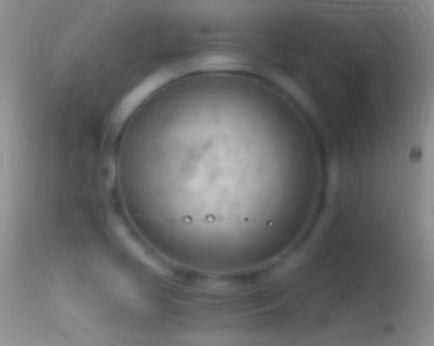 X0000114631413200910201410