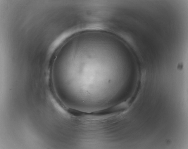 X0000114631414200910201410