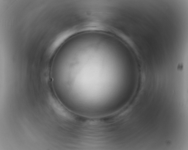 X0000114631415200910201410