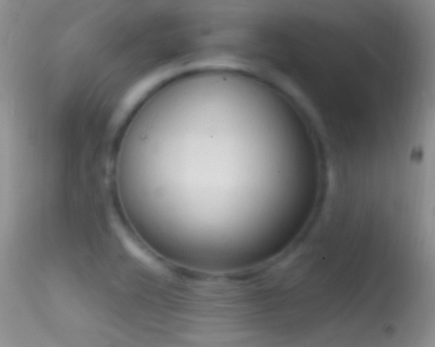 X0000114631416200910201410