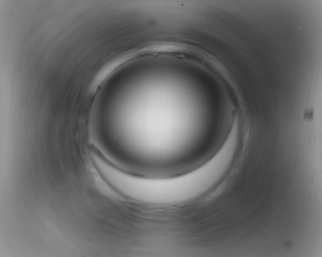 X0000114631417200910201410