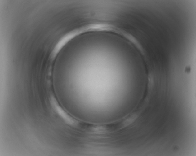 X0000114631421200910201410