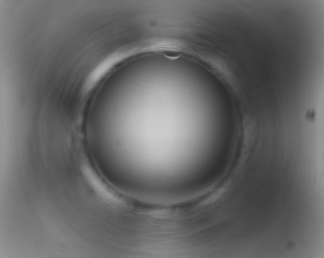 X0000114631422200910201410