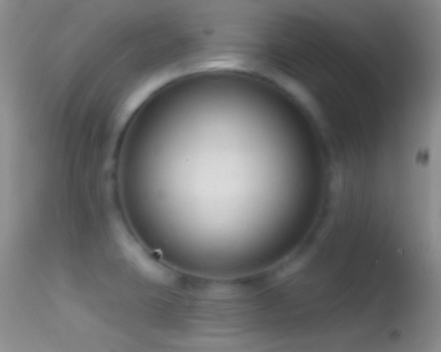 X0000114631423200910201410