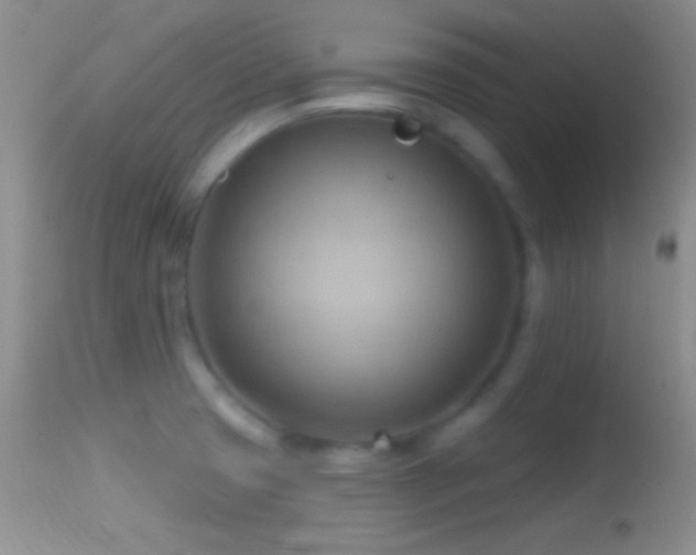 X0000114631425200910201410