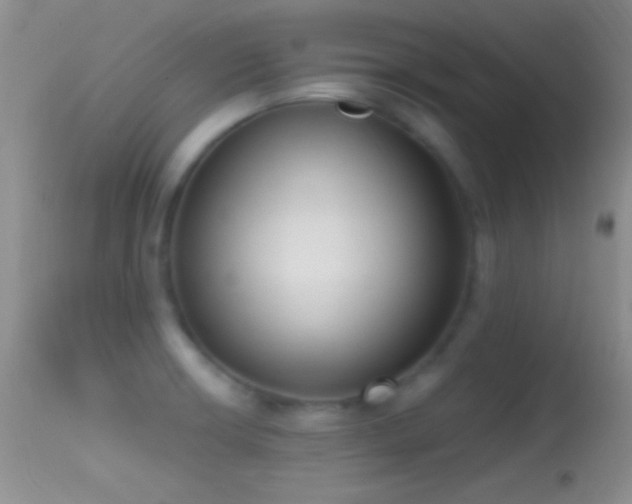 X0000114631426200910201410