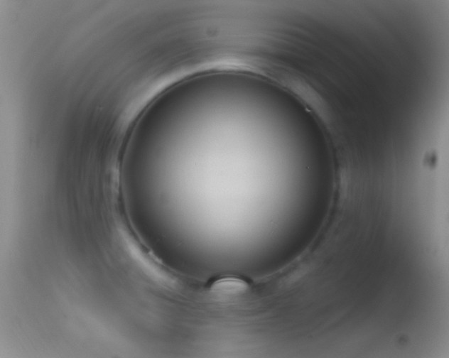 X0000114631428200910201410