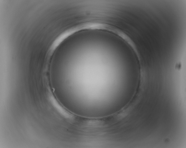 X0000114631429200910201410