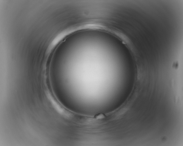 X0000114631430200910201410