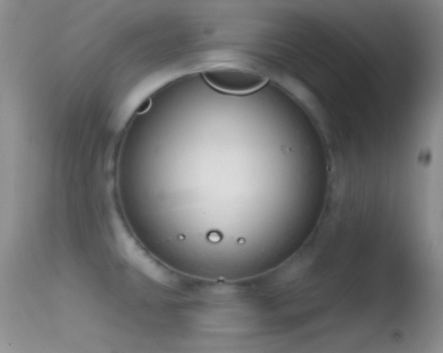 X0000114631431200910201410