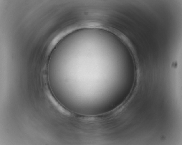 X0000114631432200910201410